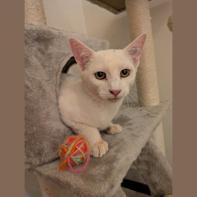 Photo of Mash 