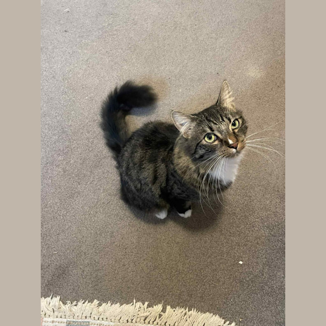 Photo of Freddy   In Foster Care In Preston