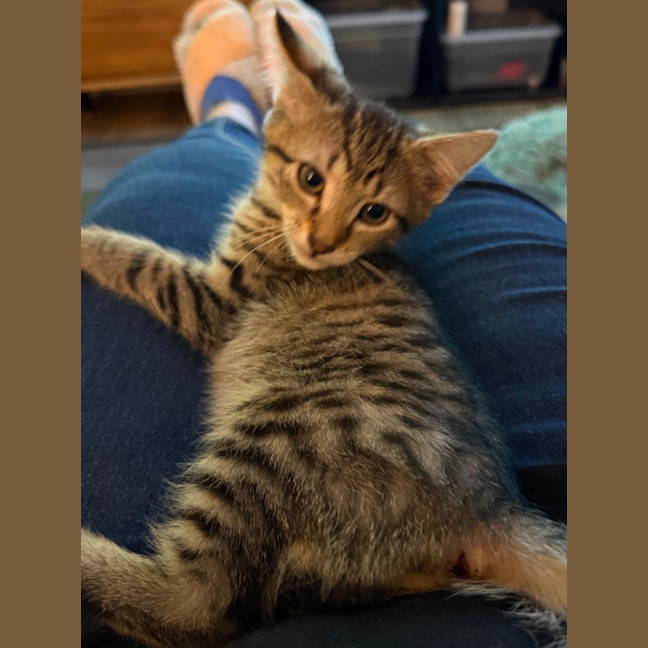 Photo of Rosie