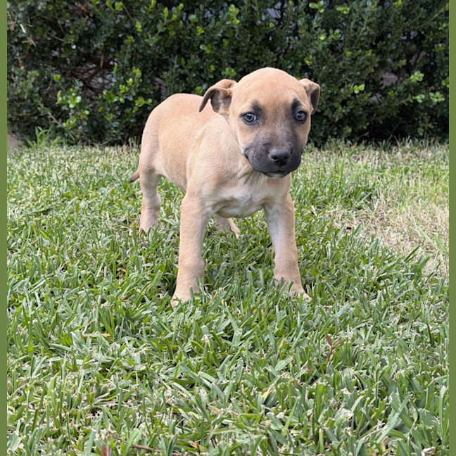 Photo of Lucy