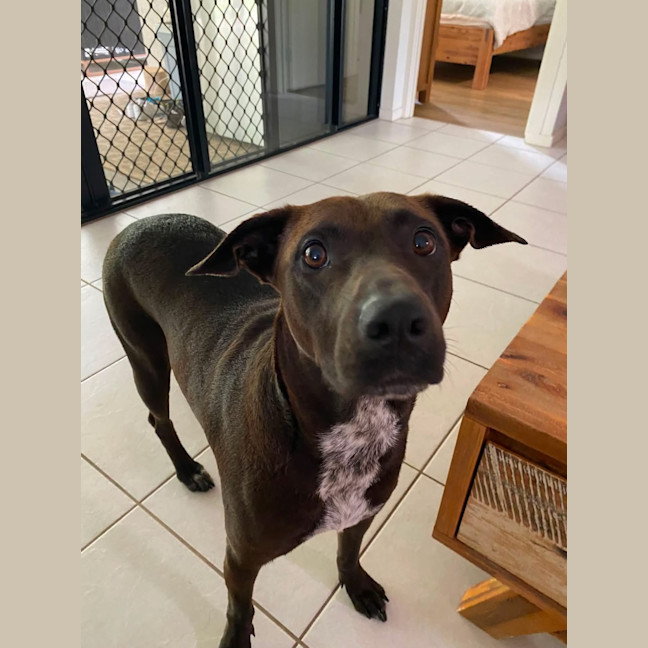 Photo of Bonnie