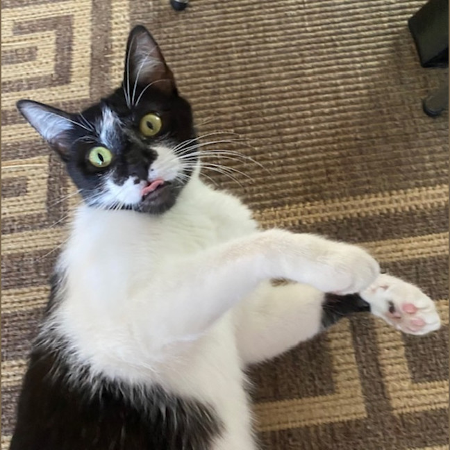 Photo of Georgie Girl