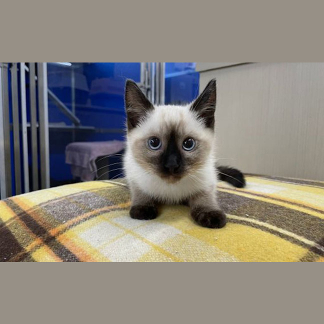 Photo of Wilfred