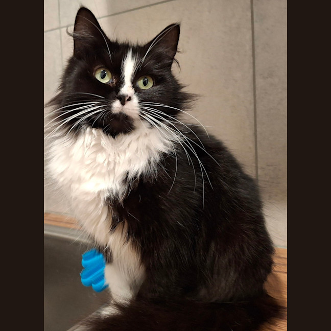 Photo of Delores