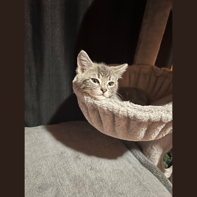 Photo of Sprite