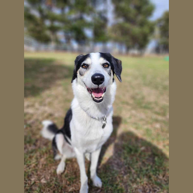 Photo of 🦋 Coco 6047 🦋