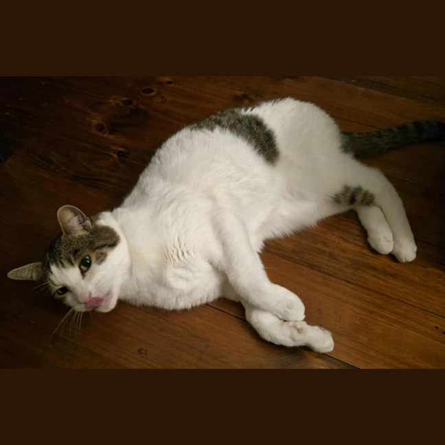 Photo of Jimmy! ❤️ 