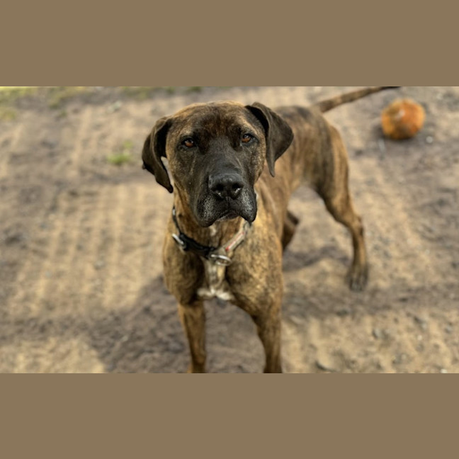 Photo of Billy