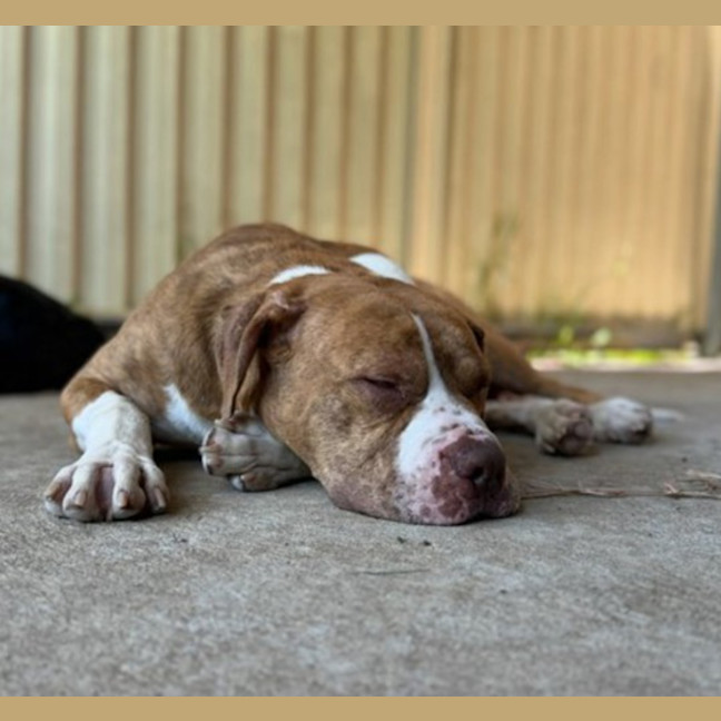 Photo of Murphy