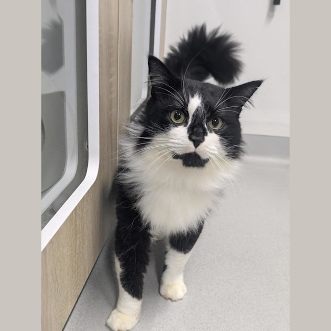 Photo of 🥨 Hamish 7370 🥨