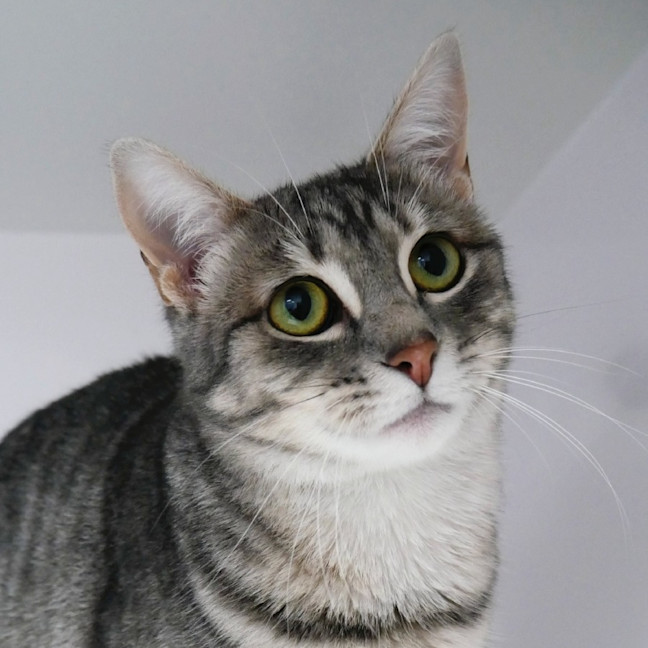 Photo of Harriet Sta013265