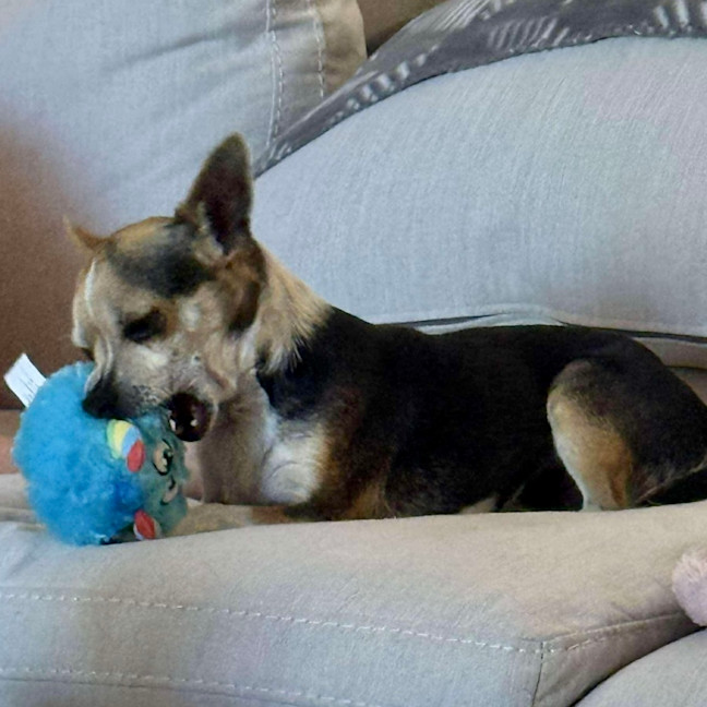 Photo of Little Lucky