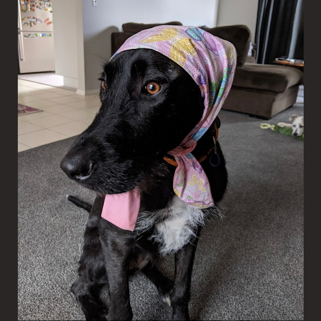 Photo of Betty