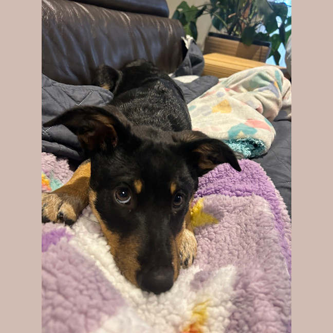 Photo of Narla