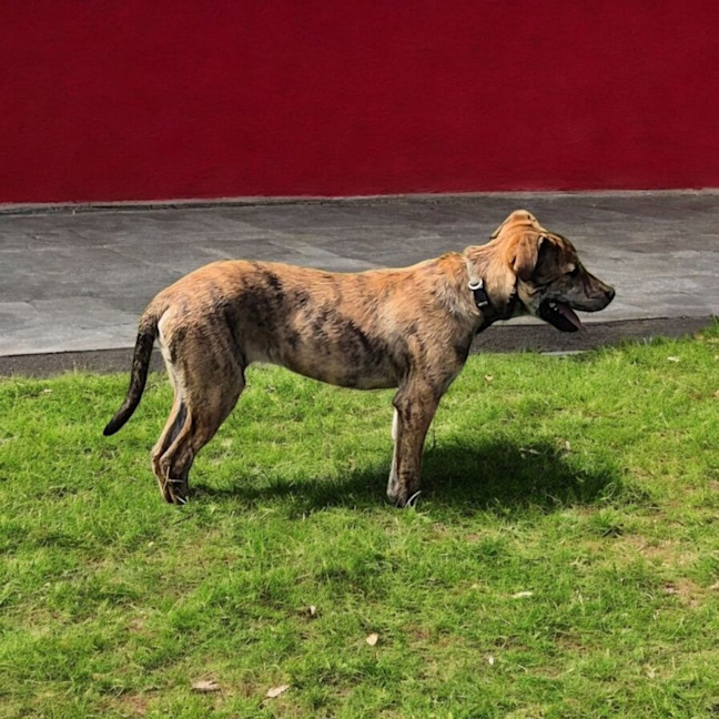 Photo of Xena
