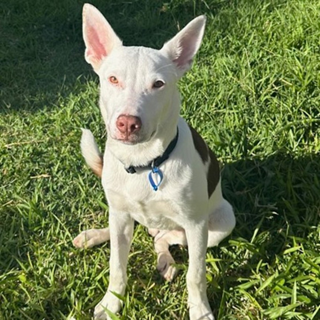 Photo of Goku