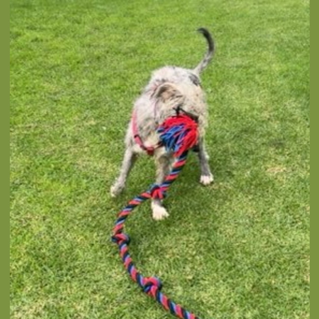 Photo of Molly