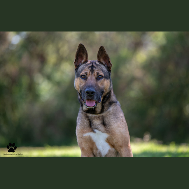 Photo of Billy