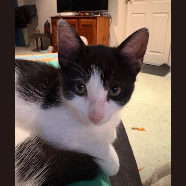 Photo of Minnie