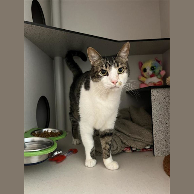 Photo of Sassyboots