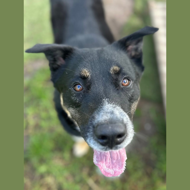 Photo of Leroy Jenkins