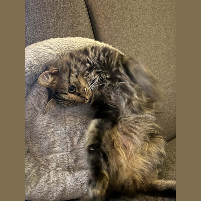 Photo of Thomas