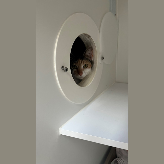 Photo of Gucci (60039)