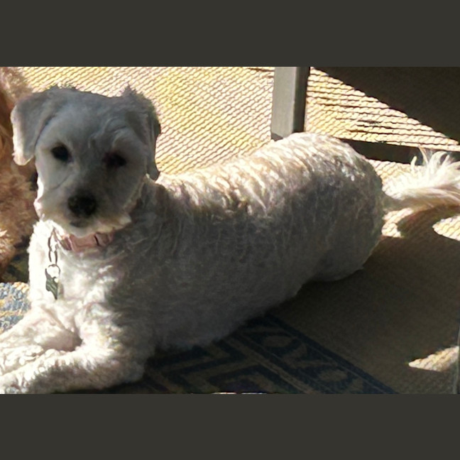 Photo of Lucy