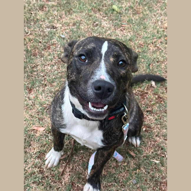 Photo of Betsy