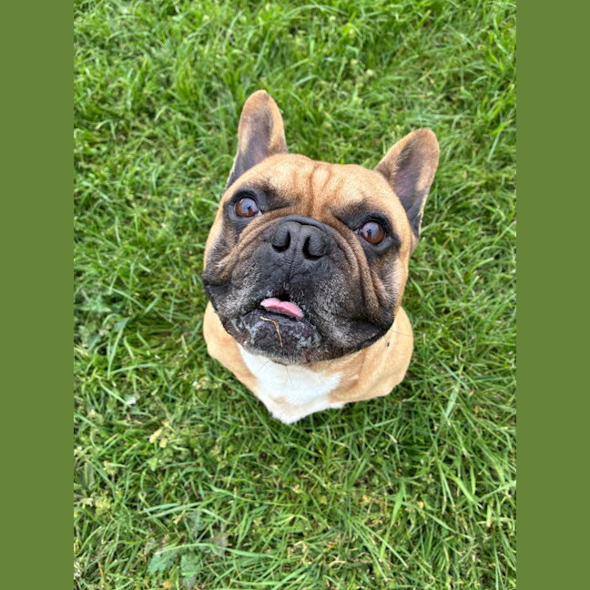 Photo of Murphy
