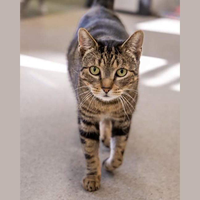 Photo of Turbo
