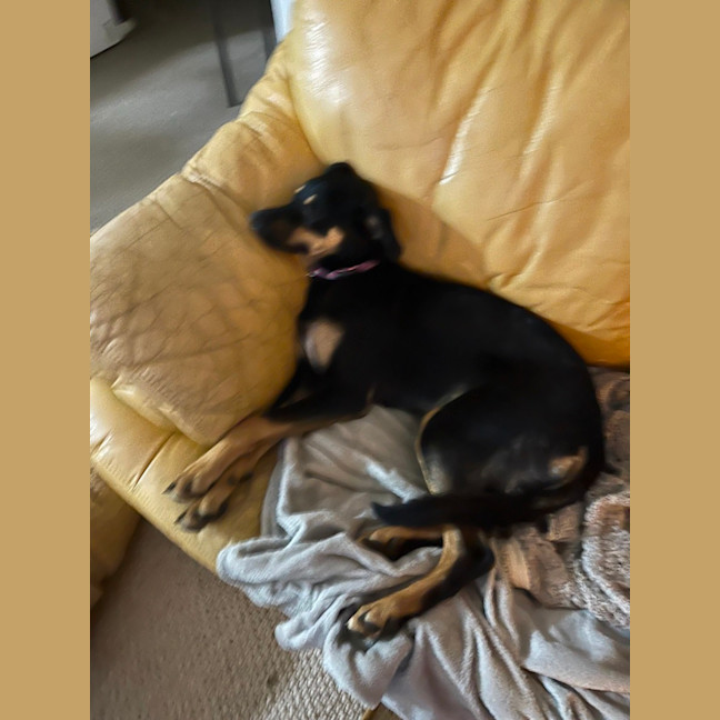 Photo of Incy Wincy