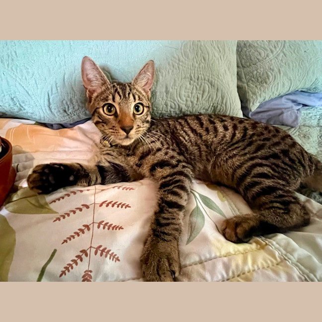 Photo of Frank