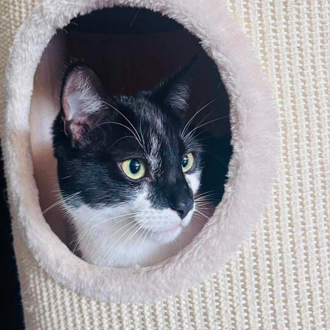 Photo of Murphy