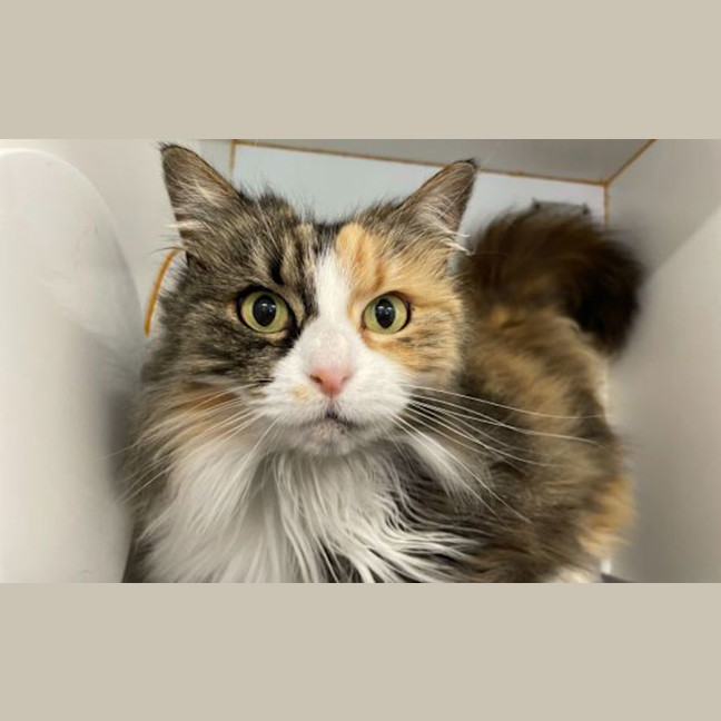Photo of Milly