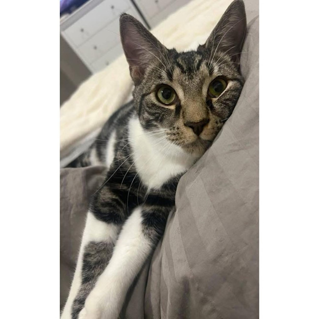 Photo of 11790   Sunshine