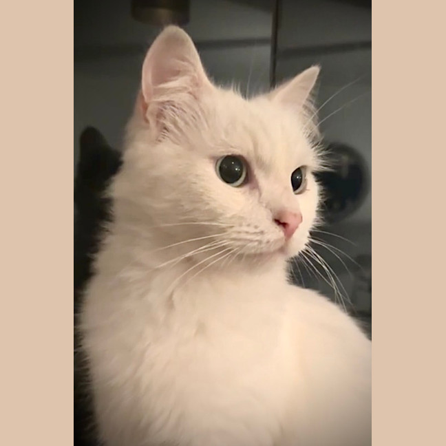 Photo of Max