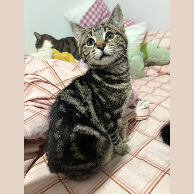 Photo of Hunter Mewell