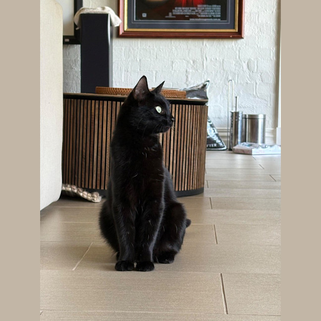 Photo of Cleo