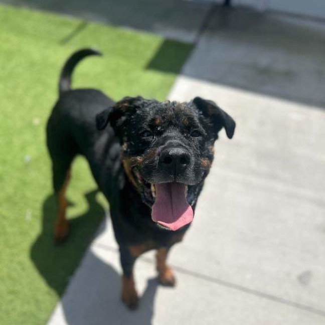 Photo of Kaiser