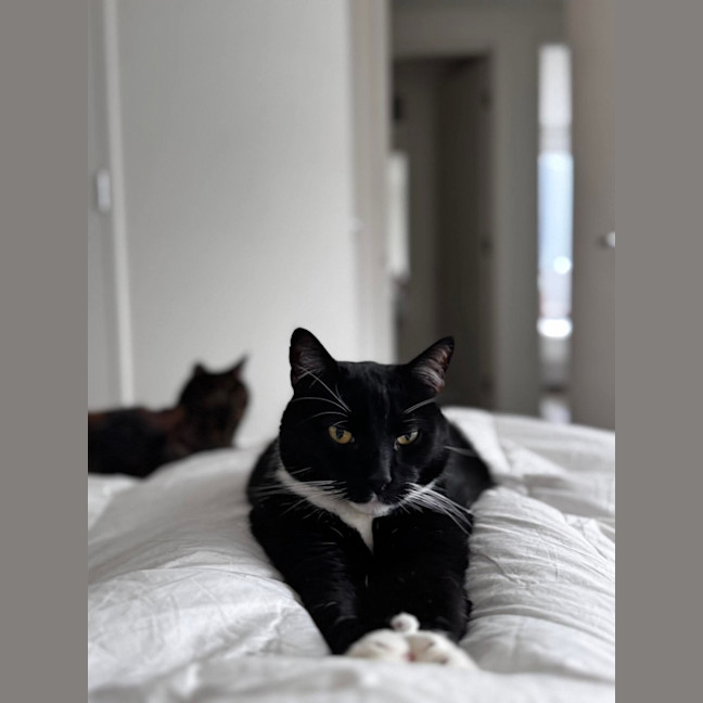 Photo of Jesse 