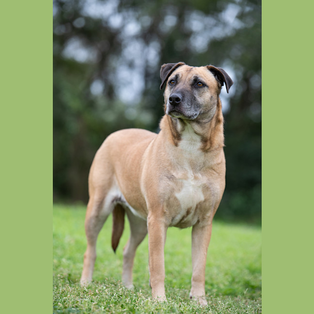 Photo of Margo
