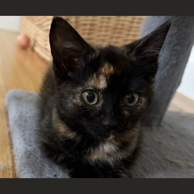 Photo of Hazel