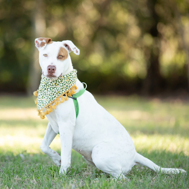 Photo of Winnie (Previously Juno)