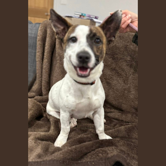 Photo of Turbo