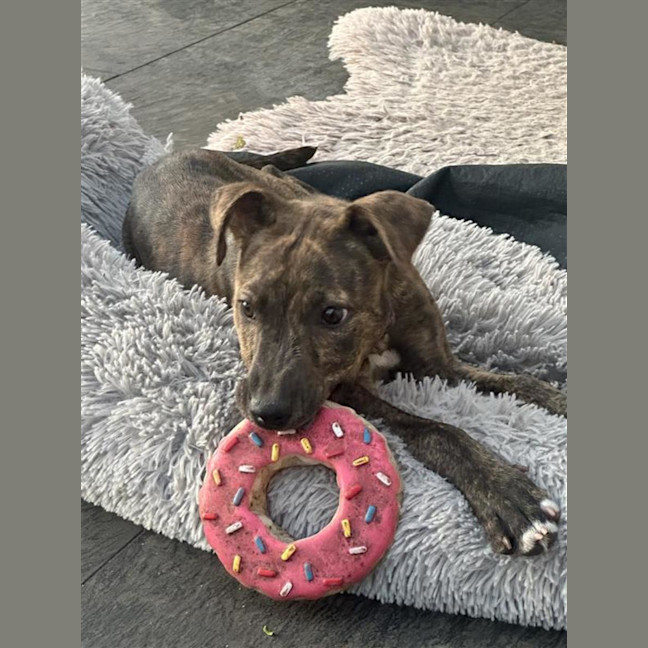 Photo of Dakota