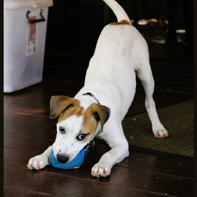 Photo of Evie
