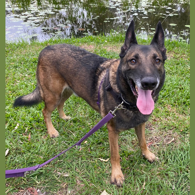 Photo of Buddy