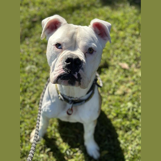 Photo of Thor