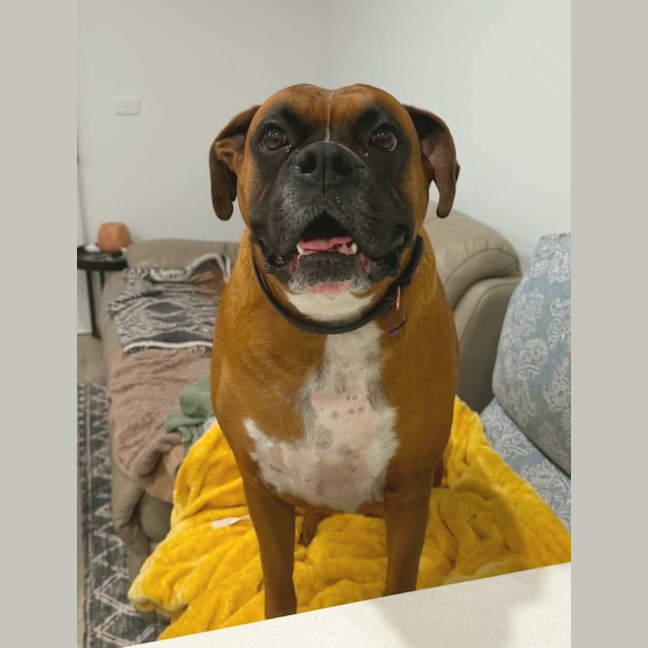 Photo of Allie Mae